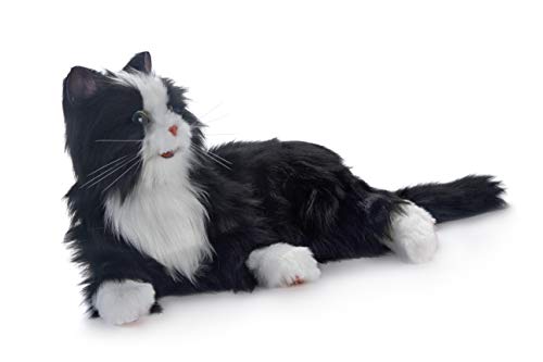 Joy For All - Black & White Tuxedo Cat - Interactive Companion Pets - Realistic & Lifelike #TOP1