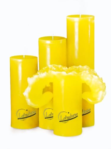 Candela Lotuskerze basic gelb 28 cm