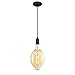 Westinghouse Lighting 6357300 Pendant, Oil Rubbed Bronze