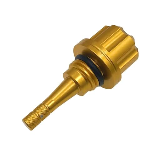 PG1pAXSR155pAMT15pA2017 2024NGWpAI[goCpICfBbvXeBbNtB[Lbv(Color3)