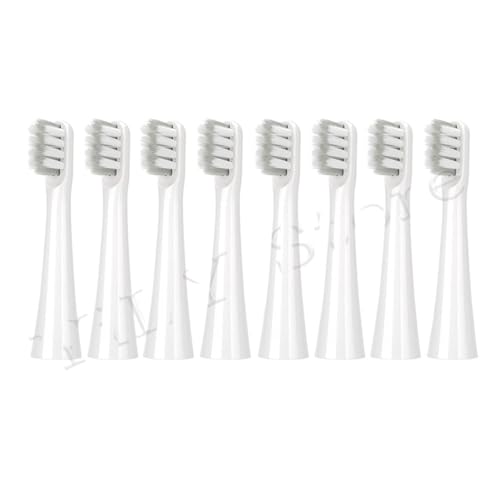 DR.BEI C3/Y1/GY1 �ėp ��l�p �f���|�� �u���V �m�Y�� �Ή� �d�����u���V�w�b�h(8PCS)