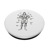 Zoom IMG-1 tabella muscolare e guida agli Zoom IMG-1 tabella muscolare e guida agli