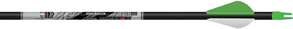 Beman ICS Hunter Classic Arrows with XPV Vanes (6 Pack)