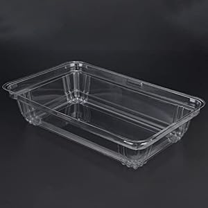 10 Stks Kiembakken Kleine Transparante Zaailing Lade Rechthoekige Plant Groeiende Lade voor Home Office Hotel