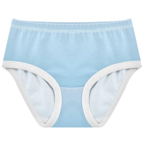 Joisal Elegant Blue Cute Gradient Panties for Girl Toddler Girls Underwear Cotton Personalized Briefs Underpants 2t
