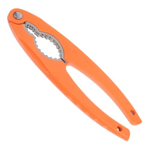 GLEAVI XeXibcNbJ[ ݌v  I w[[ib