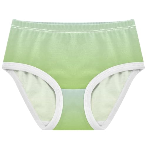 Joisal Flower Toddler Girls Underwear 2t Cotton Cute Panties Girl Elegant Blue Yellow Green Gradient Kids Briefs Undies
