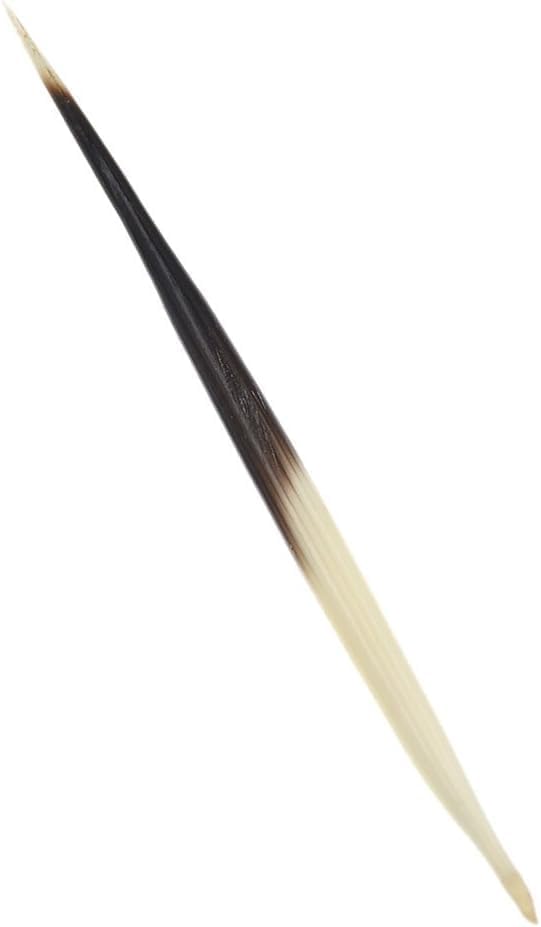 Ymhapp 10 Pcs Porcupine Quills Hair Stick Indian DIY Crafts Accessories Fishing Buoy Sewing Project Kits Arts - Image 2