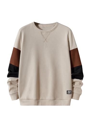 Verdusa Men's Crew Neck Sweatshirt Color Block Long Sleeve Pullover Tops Casual Daily Streetwear