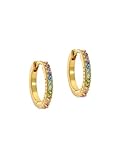 Ted Baker Heplie Crystal Hoop Earrings (14mm outside diameter) For Women (Gold/Rainbow Pastel Crystal)