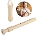Soprano Recorder With Baroque Fingering In C Key, German-Style Plastic Design, Comes With Storage Bag, Ideal For Beginners And Adults
