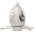 Przenośny Wentylator Sufitowy USB Na Kemping, Wentylator Kempingowy Do Namiotu, Wentylator Namiotowy Na Kemping Z Pilotem, Wentylatory Osobiste 4 Prędkości Ze Światłem,White
