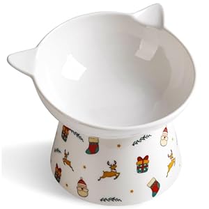 Ceramic Raised Cat Bowl，Tilted Raised Cat Bowl Anti Vomit Cat Bowls for Indoor Cats Whisker Friendly Pet Feeder for Cats Puppies, Microwave and Dishwasher Safe