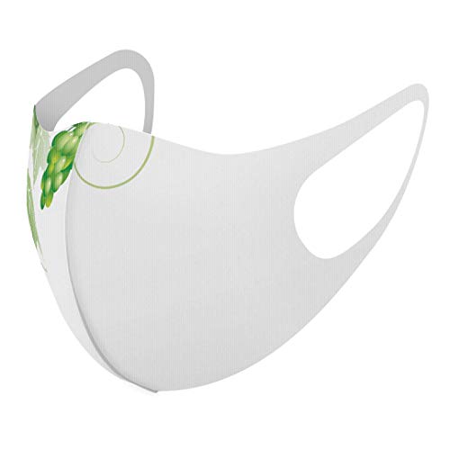 [X}R] fUC }XN QZbg |GXe 􂦂 z}XN XLTCY 傫 jp 010077 A Ԃǂ 