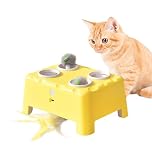 Ruspela 3-in-1 Cat Toys for Indoor Cats Adult Interactive Cat Toy Automatic Feather Rotate Mouse Pop Out Interactive Cat Toy for Pet Kitten Play Fun Rechargeable