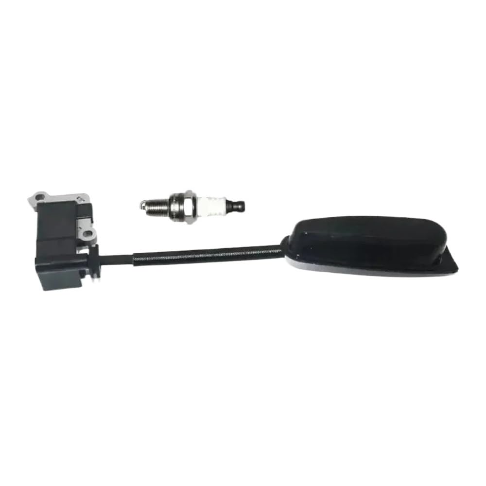 Bobine d'allumage pour souffleur de feuilles EBZ7500 en automne