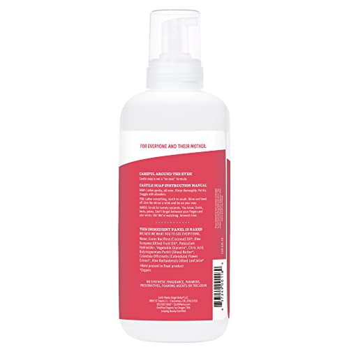 Earth Mama Simply Non-Scents Baby Wash Foaming Hand Soap, Organic All-Purpose Fragrance Free Body Wash For Sensitive Skin, Castile Soap With Coconut Oil, Shea Butter, Calendula, & Aloe, 34Floz #TOP2