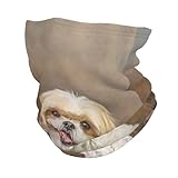 Photo Gallery yofien carino shih tzu dog, coprimaschera invernale, scaldacollo in pile antivento sciarpa per il freddo per uomo e donna Photo Gallery yofien carino shih tzu dog, coprimaschera invernale, scaldacollo in pile antivento sciarpa per il freddo per uomo e donna