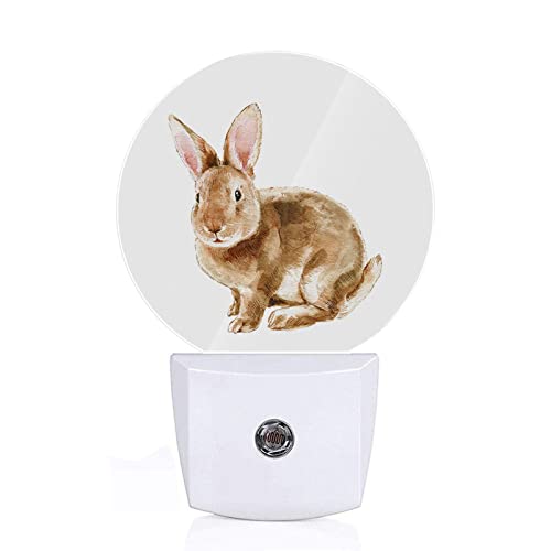 Image of Axayaz Rabbit Plug in Night Light Cute Animal Sketch of Bunny with Quote Happy Easter Brown Feather Auto LED Lamp Energy Saving Round Lights for Boys Girls Men Women