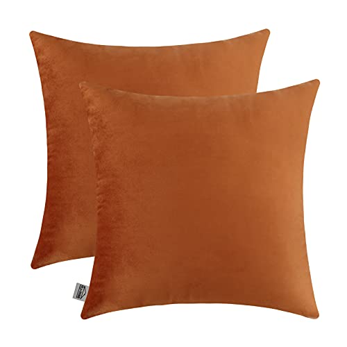 mixeoo Comfy Terracotta Couch Throw Pillow Covers Decorative Square Solid Velvet Soft Cushion Cases Home Decor for Sofa Couch Living Room, Set of 2, 16 x 16 Inch