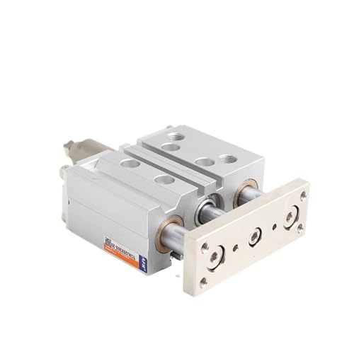 Cylindre double tige TCMJ20X30-10S anti-torsion pour guidage précis