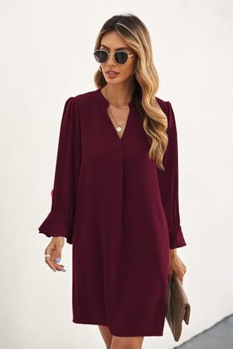 Image of Wkior Womens Fall Ruffle Long Sleeve V Neck Shift Dresses (S-XXL)