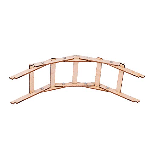 Reino do caranguejo diy crianças experimentos de tecnologia de ciência sala de aula pequenas invençõ