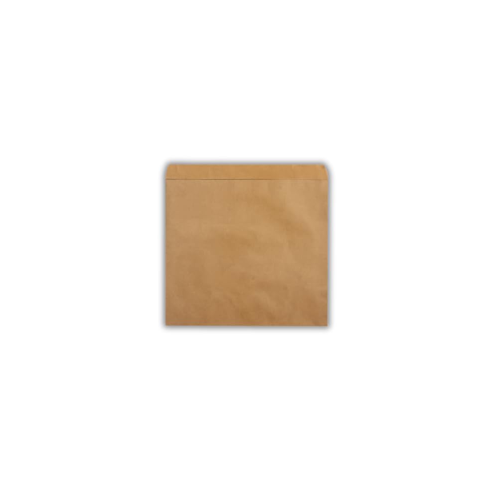 Amee Houseware Brown Kraft Paper Food Bags 6x6 Inch - Biodegradable Strung Sulphate Bags for Sandwiches, Sweets & Groceries - Recyclable & Food Safe (Pack of 100)