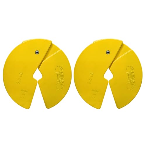 Image of Micro Gainz 2.5LB Dumbbell Fractional Weight Plates, 2-Piece