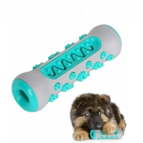 See full amazon price history chart for D&C PAWS Pet Dog Chew Toys Aggressive Chewers Teeth Cleaning Oral Toothbrush Rubber Bone - Color May Vary-01 D&C PAWS Pet Dog Chew Toys Aggressive Chewers Teeth Cleaning Oral Toothbrush Rubber Bone - Color May Vary-01 (B0BLK82PMF) Amazon Price History, Amazon Price Tracker