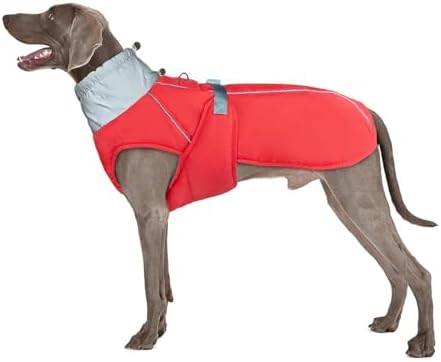 NACOCO Warm Dog Winter Coat - Padded Fleece Dog Jacket with Harness Built in Windproof Vest Reflective Stripe Adjustable Clothes Snow Cold Weather Outfit for Small Medium Large Dog (Red, 3XL)