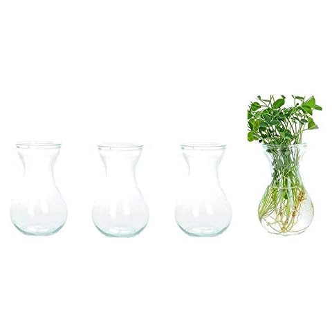 Cratone Pack of 4 Hyacinth Vases Glass Hydroponic Vase Transparent Clear Vase for Hyacinth Hydroponic Plants Desktop Ornament Home Decor Cover