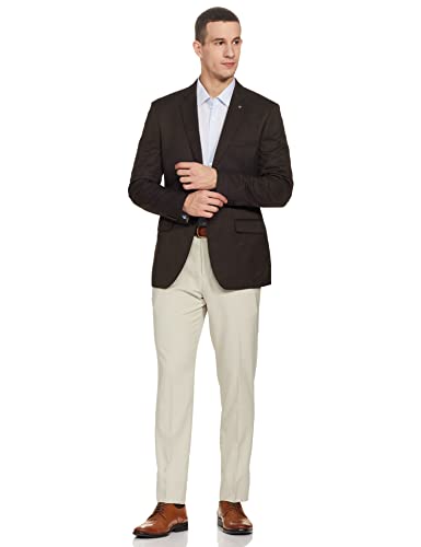 Image of Raymond Wool Blend Men's Full Sleeve Slim FIT Dark Brown Formal Suit