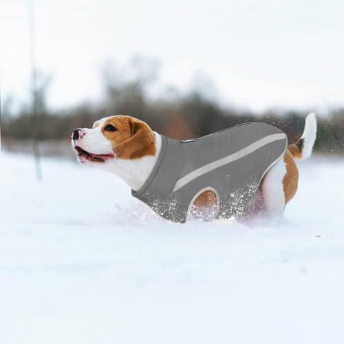 Idepet Wasserdichter Hundemantel Winter Warme Jacke, Winddichte Haustierkleidung Hundejacke Outfit für kleine mittelgroße Hunde mit Geschirrloch XL-6XL