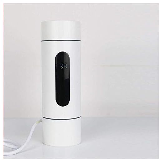 YANGHONG-vatten kokare- Elektrisk vattenkokare bärbar vattenkokare mini resa vattenkokare rån 0.3l@white/dshchyk-28 (Color : White)