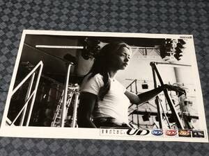 Amazon.co.jp: 安室奈美恵 ポスター② 当時物 MAXELL UD : おもちゃ