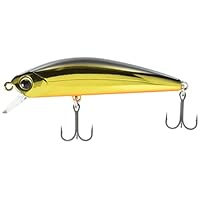 Amazon.co.jp: Water Land(ウォーターランド) ルアー ジャークソニック