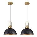 ALAISLYC Black Pendant Lights Kitchen Island Industrial Adjustable Height Vintage Farmhouse Dome Hanging Light Fixtures for Barn, Dining Room 2 Packs