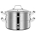 GLJAN 2 Etagen Dampfgarer Kochtopf aus Edelstahl mit Dampfkorb zum Kochen von Speisen für Gas elektrische Induktion Spülmaschinenfest (Color : Silver(2 Layer), Size : 28cm)