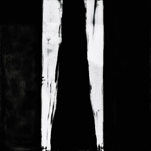  Sam Francis