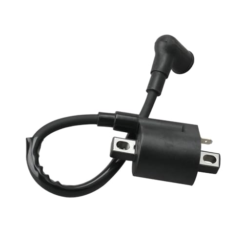 Bobina de encendido para reactivar el motor marino 2T 5HP de su bote 2