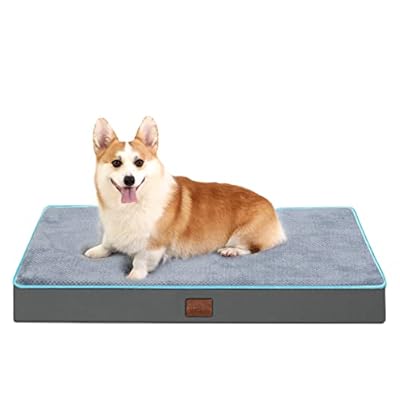 Bedfolks Thick Orthopedic Dog Bed for Extra Large Madagascar Ubuy