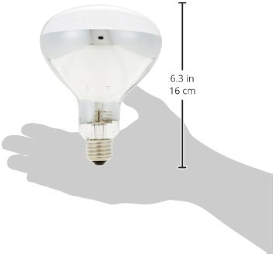 Amazon | 岩崎 屋外用レフランプ 150W型 RF220V135WH | 岩崎 | 白熱電球 Amazon | 岩崎 屋外用レフランプ 150W型 RF220V135WH | 岩崎 | 白熱電球