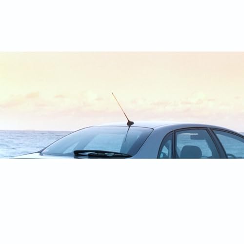 Lame d'essuie-glace arrière 16 pouces flexible pour C5 Hatchback - 4