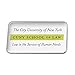 GRAPHICS & MORE CUNY School of Law Primary Logo Metal Rectangle Lapel Hat Pin Tie Tack Pinback