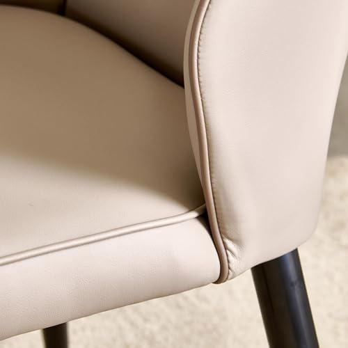 Image of Home Centre | Marcello | Metal | Dining Chairs | Beige | Set of 2 | 1 Year Warranty