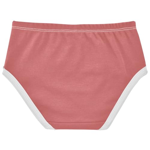 Joisal Girls Underwear Toddler 2t Cotton Panties for Girl Bright Kids Undies Briefs Indian Red Pink2