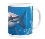 Merchandise for Fans