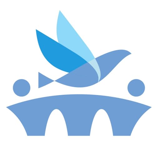 Bridges Foundation cover art