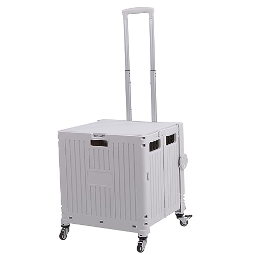 St.espoir NNړ 4փ^C RpNgɐ܂肽߂ W L[J[S e80L zCg